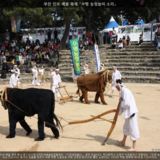 부산 민속 예술 축제 수영 농청놀이 소리2 [사진] [건] (2012-05-26)