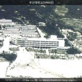 부산대학교2 [사진] [건] (1966)