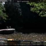 부산 구 성지곡 수원지2 [사진] [건] (2011-10-04)