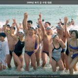 북극 곰 수영 대회1 [사진] [건] (1999-01-24)