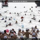 북극 곰 수영 대회 입수 [사진] [건] (2014-01-12)