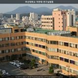 부산대학교 자연대 연구실험동 [사진] [건] (2012-09-24)