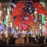 부산 크리스마스트리 문화 축제1 [사진] [건] (2011-01-15)