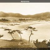 해운대 해수욕장9 [사진] [건] (1920)