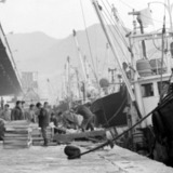 부산항 및 정박 어선들2 [사진] [건] (1976-06-18)