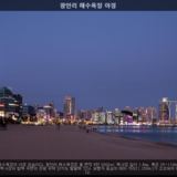 광안리해수욕장 야경4 [사진] [건] (2010-01-12)