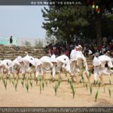 부산 민속 예술 축제 수영 농청놀이 소리3 [사진] [건] (2012-05-26)
