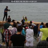 광안리 어방 축제 맨손으로 활어 잡기 [사진] [건] (2014-06-20)