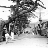 1910년대 말 중구 신창동 일본인 거리 전경 [사진] [건] (1910년대 말)