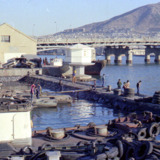 부산항 남항1 [사진] [건] (1976-02-28)
