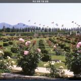 부산 유엔기념공원4 [사진] [건] (1990)