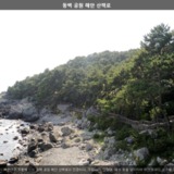 동백 공원 해안 산책로4 [사진] [건] (2013-09-09)