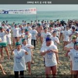 북극 곰 수영 대회2 [사진] [건] (1999-01-24)