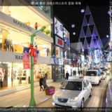  부산 크리스마스트리 문화 축제4 [사진] [건] (2009-12-26)