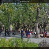 부산 시민 공원1 [사진] [건] (2014-05-01)
