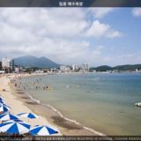 일광해수욕장4 [사진] [건] (2009-08-15)