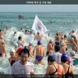 북극 곰 수영 대회3 [사진] [건] (1999-01-24)