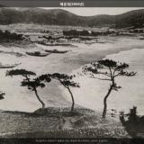 해운대 해수욕장8 [사진] [건] (1904)