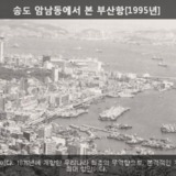 송도 암남동에서 본 부산항 [사진] [건] (1995-07)