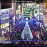 부산 크리스마스트리 문화 축제3 [사진] [건] (2011-12-11)
